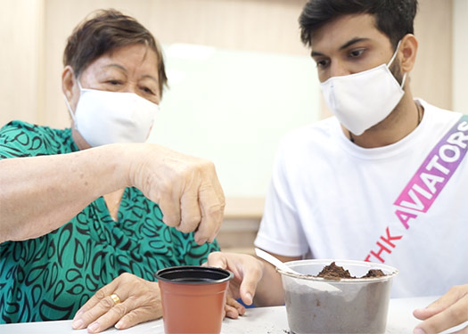 Urban farming activity offered for the elderly by THK  MC  (Thye Hua Kwan Moral Charities)