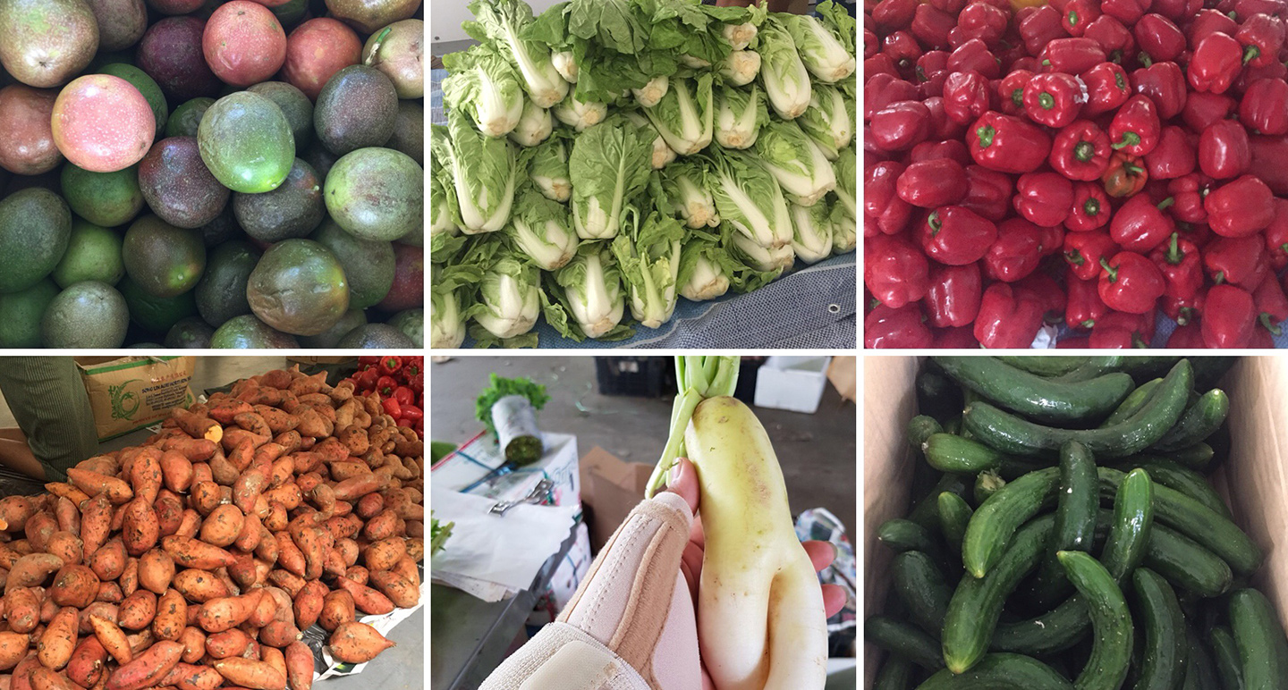 SG Food Rescue - Collage of  vegetables rescued