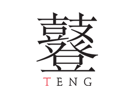 The TENG Company Logo